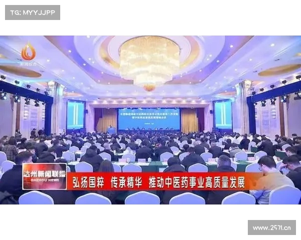 推动中医药走向欧洲 助力健康产业全球发展 推动中医药走向欧洲 助力健康产业全球发展